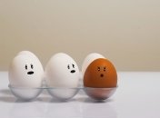 Как быстро порезать яйца без яйцерезки