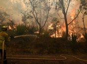 В Австралии вновь вспыхнули масштабные лесные пожары