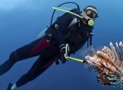 На Google Street View появились подводные панорамы