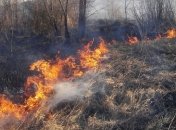 На Львівщині загинула пенсіонерка під час спалювання трави