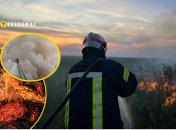 В Одесской области снова тушат пожары