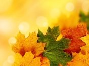 Прогноз погоды на 13 октября: в некоторых регионах страны - дожди