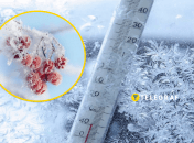 Рекордно холодные зимы в Украине