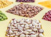 Проращивание фасоли дома - совсем не сложное дело