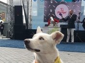 ZooBonus Fest 2019: как проходит мероприятие (Фото)