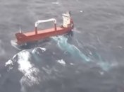 Украинское судно в штормящем море: появилось видео спасательной операции