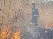 ДСНС просить українців у триматися від спалювання трави через пожежі в екосистемах