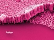 Создан новый тип необычного стекла