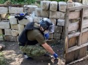 В Донецкой области бывшая пленница боевиков ОРДО подорвалась на растяжке во дворе своего дома