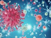 В мире более 5 миллионов человек заразились COVID-19