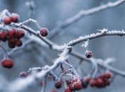 Какой праздник 13 января: народные приметы и запреты