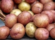 Дефицит хранилищ: картофельной отрасли в Украине грозит упадок