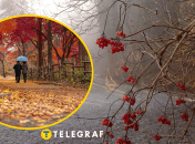 Коллаж "Телеграфа"