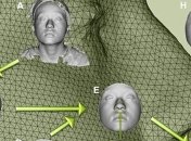 Новейшая технология - составление фоторобота по образцу ДНК