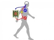 Что позволит людям с параличом ног ходить?