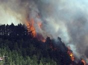 Азаров раскритиковал Гослесагентство за пожар на Херсонщине