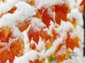 Погода в Украине 15 ноября: преимущественно мокрый снег, местами без осадков 