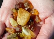  Из Украины в Польшу пытались провезти янтаря на 165 миллионов