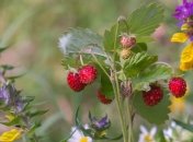 Прогноз погоди на тиждень: в Україну йде антициклон