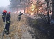 Стало известно о новых жертвах чудовищного пожара на Луганщине