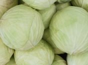 Урожай капусты
