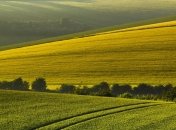 Погода в Украине на сегодня: солнечно будет почти во всех областях 