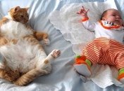 Очаровательные снимки, доказывающие, что вашему ребенку нужен кот (Фото) 