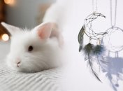 Сильные обереги по знаку Зодиака на 2023 год