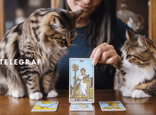 Гороскоп Таро, чего ждать 28 августа