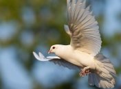 Канун Благовещения 2021: народные приметы и запреты