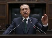 Эрдоган пообещал демонстрантам повиноваться решению суда 