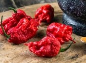 Что будет с организмом, если съесть самый острый в мире перец 