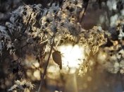 Какой праздник 5 марта: народные приметы и запреты