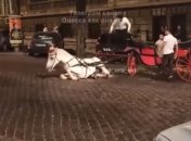 Конь упал в центре Одессы
