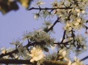 Какие завтра праздники: традиции и приметы на 3 мая