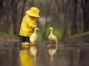 Прогноз погоды в Украине на 13 июня: надвигается похолодание с дождями