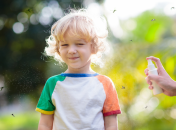 Врятуватися від комарів можна народними засобами