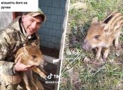 Кабанчик "Донбасс"