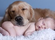 Домашние животные помогают улучшить здоровья 