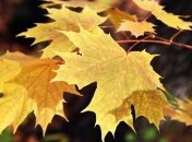 Прогноз погоды на 17 сентября: В Украину возвращается тепло 