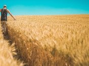 Запуск рынка земли: как послы G7 относятся к отмене моратория