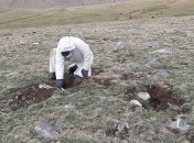 Бубонная чума: в Монголии обнаружили еще одного инфицированного