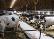 Госказначейство выплатило дотации аграриям за сентябрь