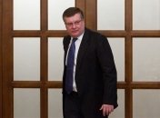 Грищенко обсудил перспективы Украины с представителем Бундестага