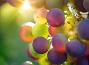 Названы продукты полезные для онкобольных людей