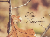 Поздравления с 1 ноября