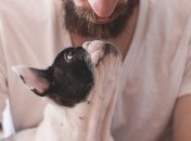 Собаки могут страдать вместе с хозяевами