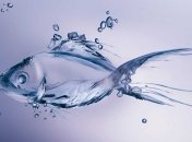 Ученые научились делать 3D-печати из воды (Видео)