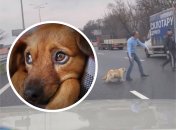 Порятунок песиків