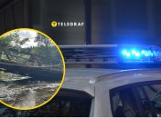 На Закарпатті раптово впав міст